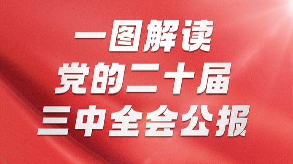 一图解读党的二十届三中全会公报